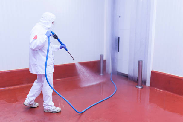 Animal Enclosure Cleaning in Naples, UT