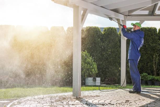 Best Solar Panel Cleaning  in Naples, UT